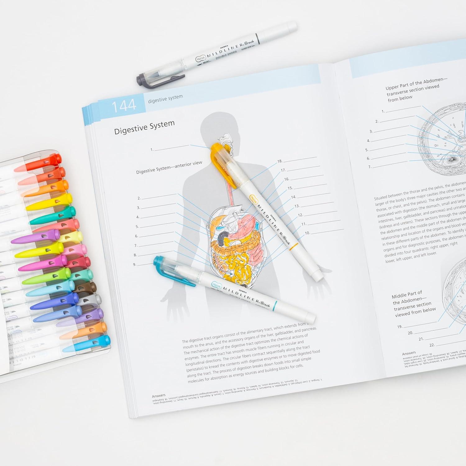 imageZebra Pen Mildliner DoubleEnded Brush Marker Brush and Fine Tip Pens Ideal for Bible Highlighting No Bleed Assorted Soft Colors 15Pack 79115Assorted C