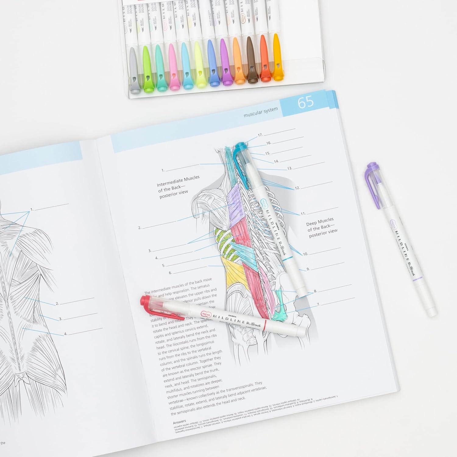 imageZebra Pen Mildliner DoubleEnded Brush Marker Brush and Fine Tip Pens Ideal for Bible Highlighting No Bleed Assorted Soft Colors 15Pack 79115Assorted D