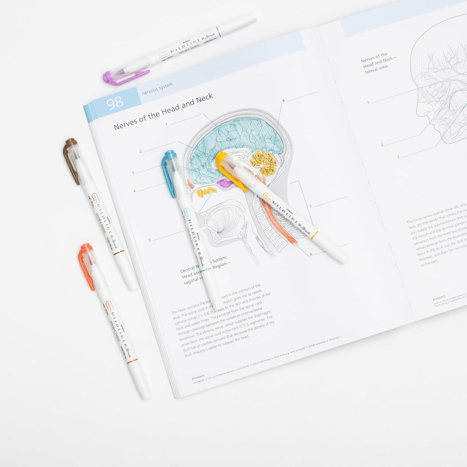 imageZebra Pen Mildliner DoubleEnded Brush Marker Brush and Fine Tip Pens Ideal for Bible Highlighting No Bleed Assorted Soft Colors 15Pack 79115Assorted Warm