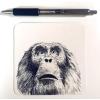 imageZebra Pen F402 Stainless Steel Retractable Ballpoint Ink Pens 12Pack Black Ink 07mm Fine Point EasyGlide Ink NonSlip Grip Metal Clip Refillable With FRefill 29210