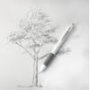 image:imageZebra Pen ZGrip Mechanical Pencil Comfort Grip 07mm Lead 2 HB PreLoaded with Lead and Eraser for School Office Everyday Use Refillable Assorted Neon Barrel 10Pack 50301White